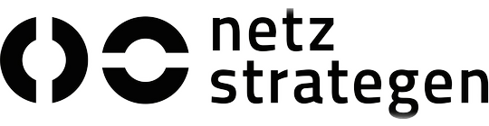Netzstrategen Logo